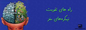 های تقویت نیمکره های مغز